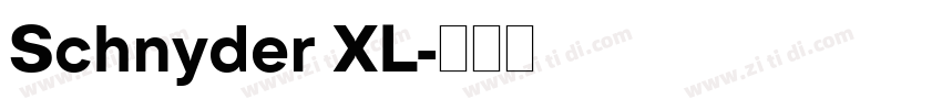 Schnyder XL字体转换